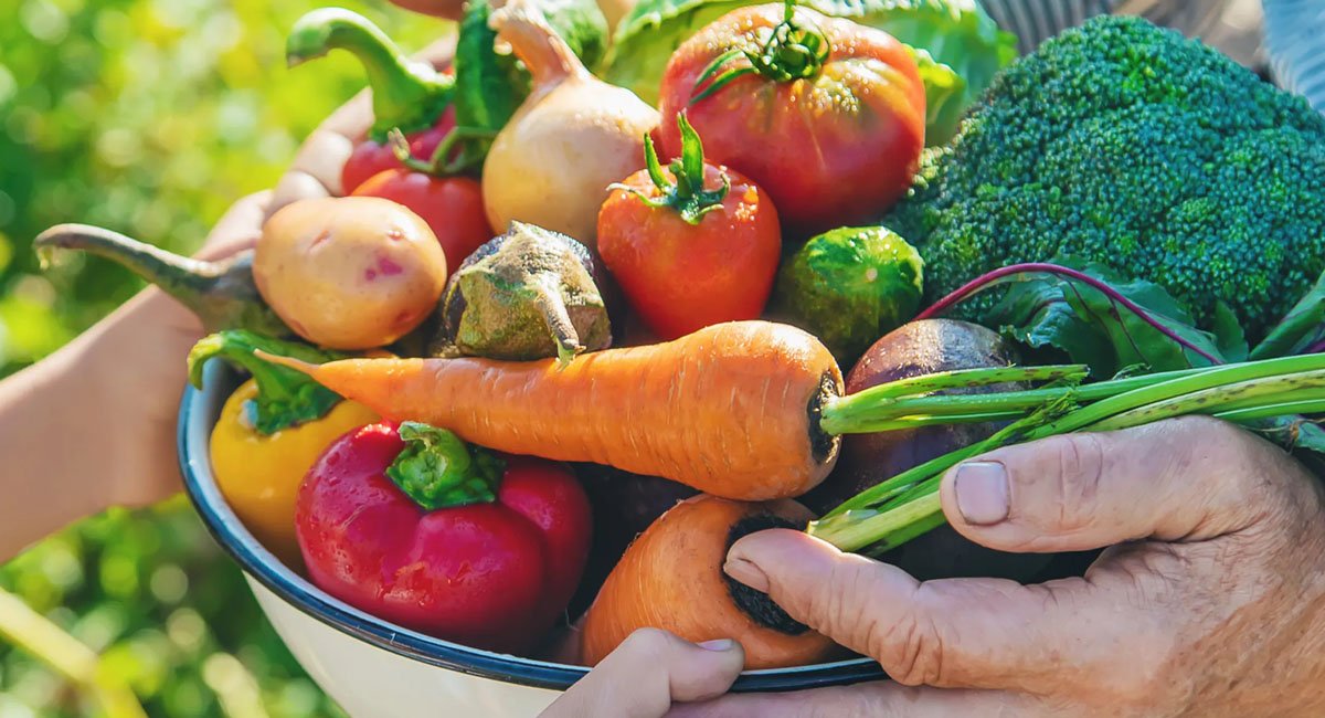 diet-tips-and-health-tips-to-improve-your-life
