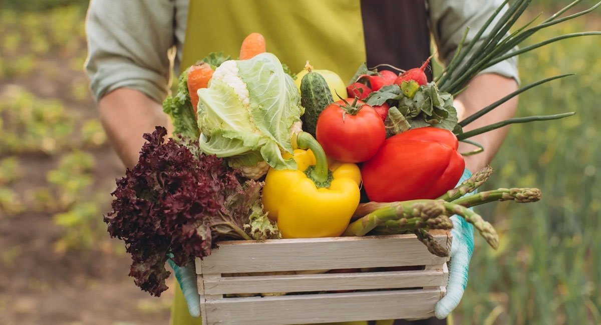 why-organic-healthy-food-is-better
